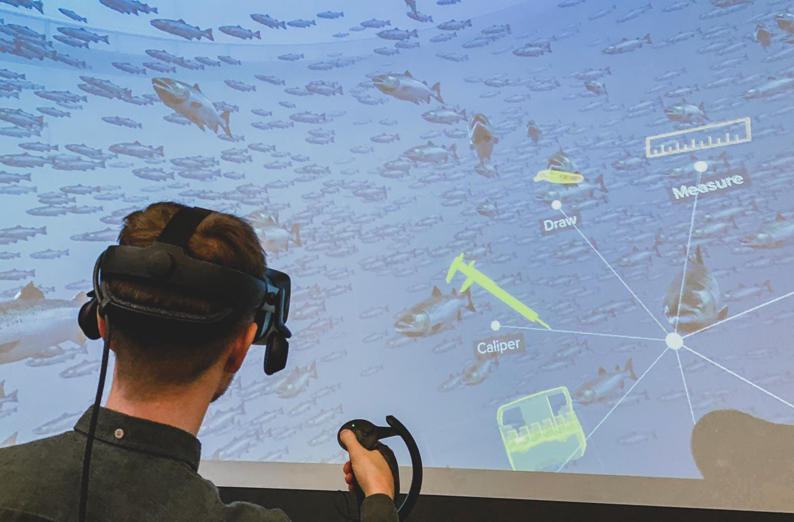 Man with VR set