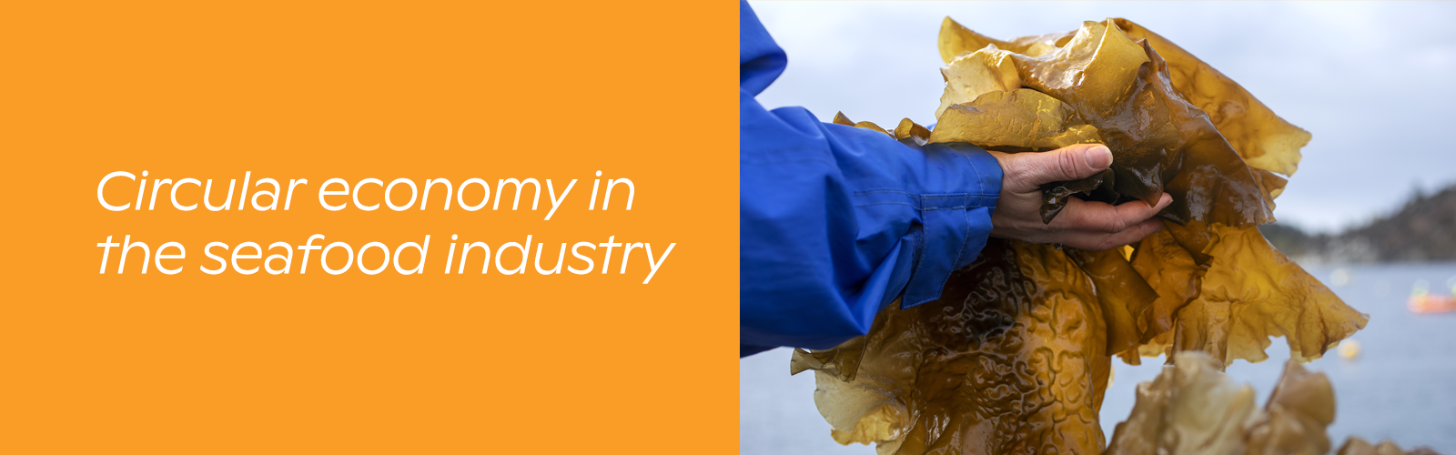 Banner_circular economy in the seafood industry