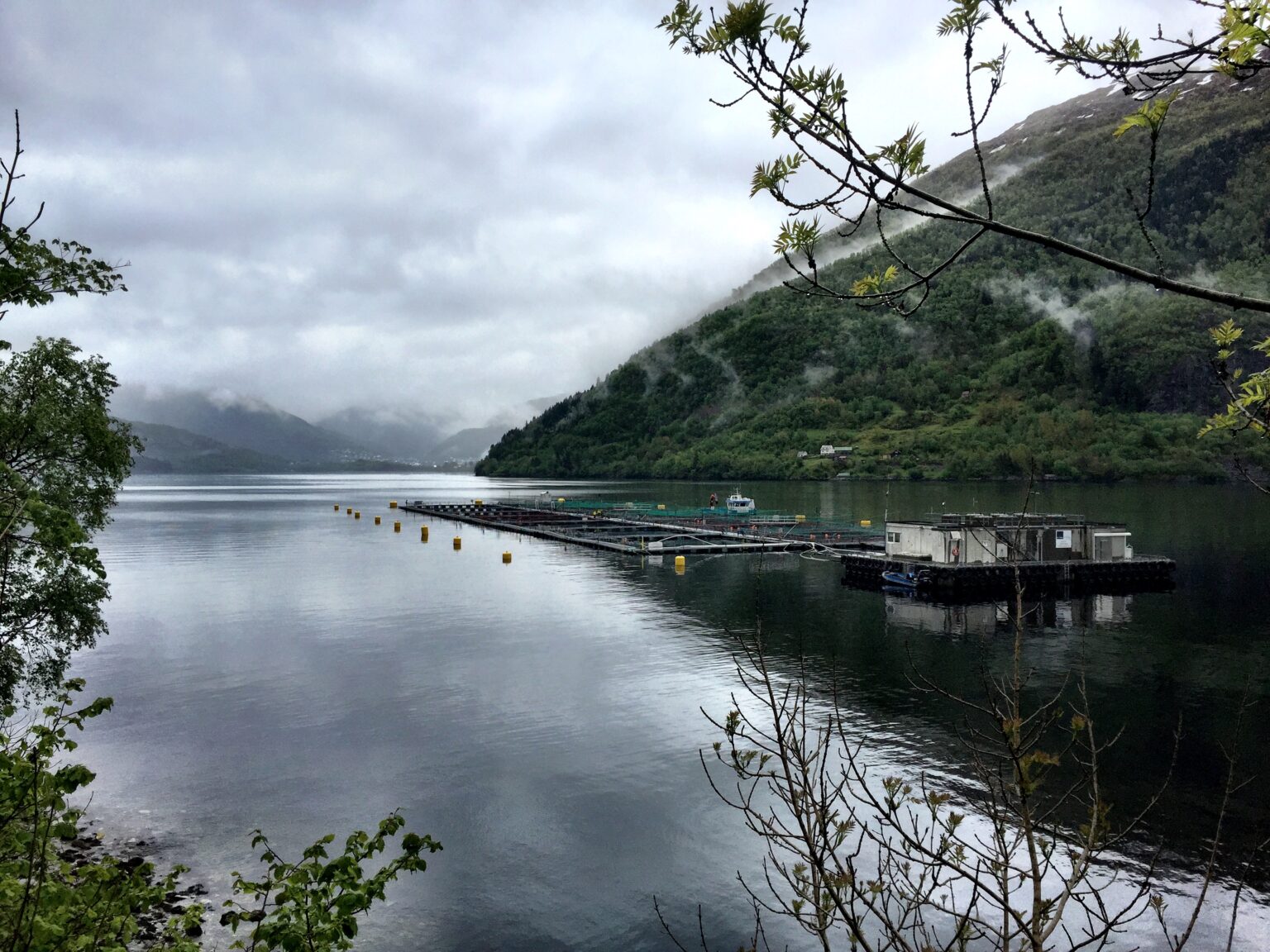 Fish farm in a fjord