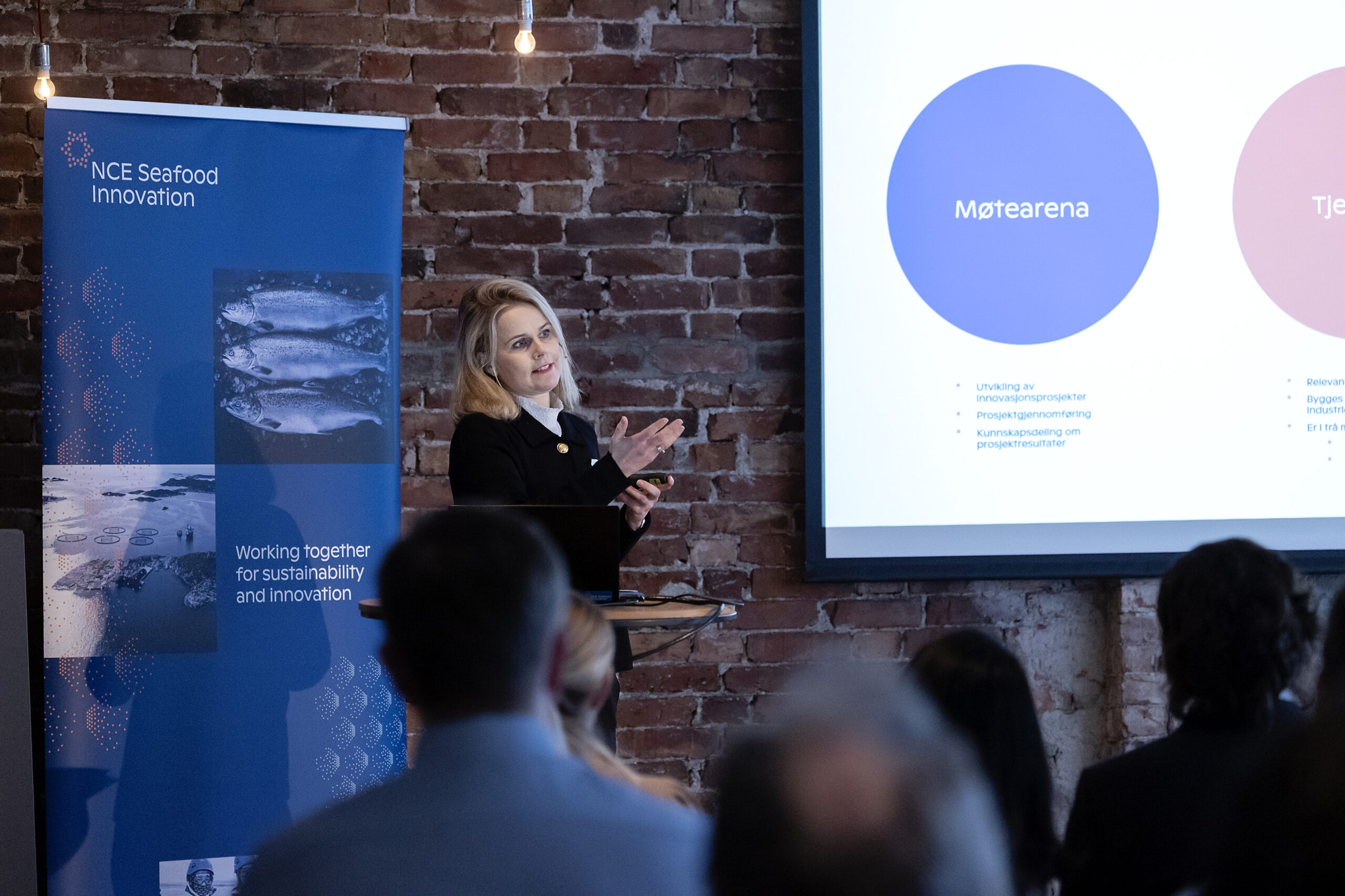 Nina Stangeland presents at focus group meeting