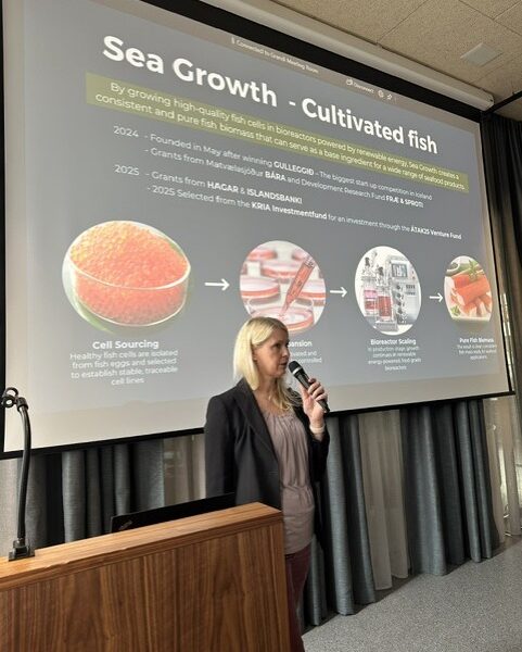 Sea Growth presenterer for Seafood Next på Island